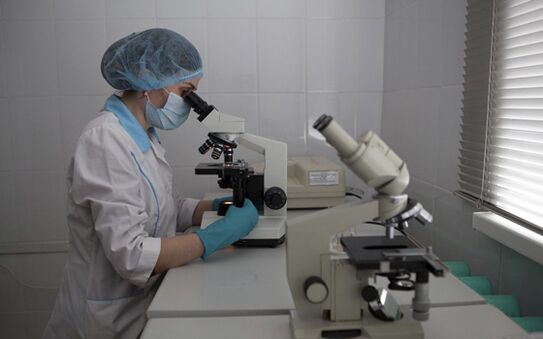 Mit der Mikrohelminthoskopie können Parasiten im Kot nachgewiesen werden